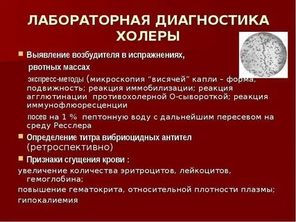 Возбудитель холеры является