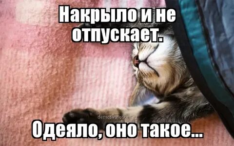 Отпусти меня работа