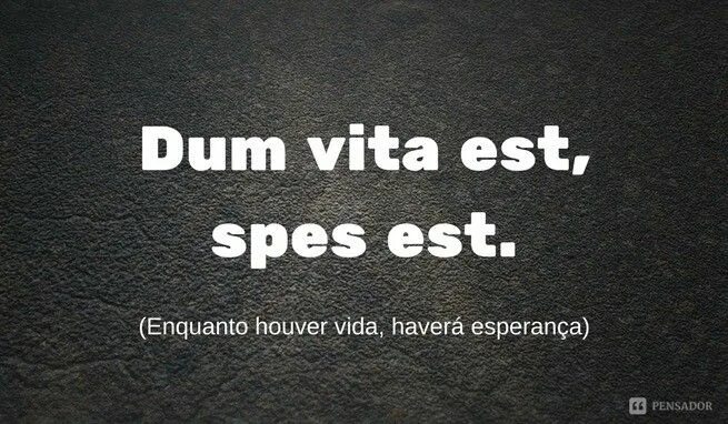 Vitae est. Dum Vita est Spes est. Dum Vita est, Spes est тату. Aegroto Dum Anima est, Spes est. Aegroto Dum Anĭma est Spes esse dicĭtur.