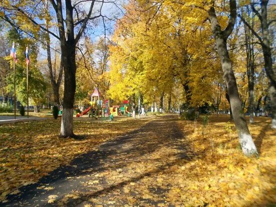 Погулять в курске. Курск парк пионеров Курск. Курск детский парк на Перекальского. Детский парк пионеров Курск. Курск осенью парк пионеров.