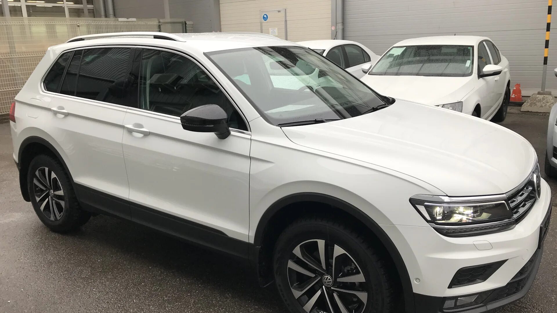 VW Tiguan 2 черная крыша. Тигуан Фольксваген белый с черным. Белый Тигуан 2. Фольксваген Тигуан белый с черной крышей. Volkswagen tiguan 2.0 at