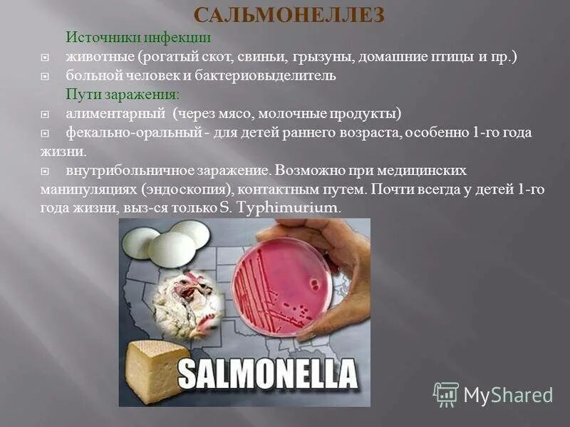 Заболевания передающиеся через пищу. Сальмонеллез. сальмонелла заболевания. сальмонеллез источник инфекции. сальмонеллез источник заражения.