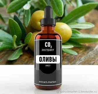 Листья оливы экстракт
