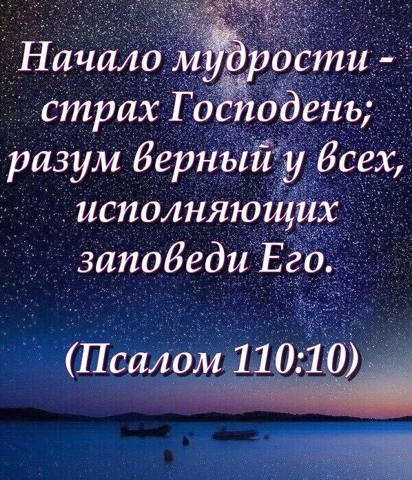 Начало мудрости страх. Премудрость страх господень. Бивер д. Начало мудрости страх господень. Начало мудрости страх господень.