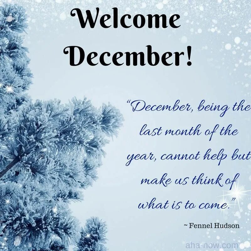 December first. Welcome to December. December quotes. Welcome to December картинка. December is the best of all.