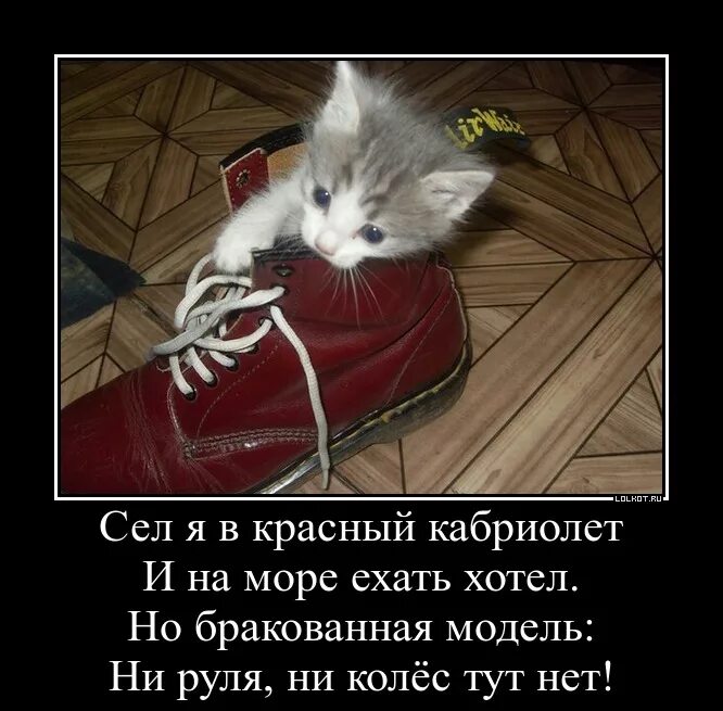 А я сяду в кабриолет припев. А я сяду в кабриолет. я сяду. а я сяду в кабриолет и уеду куда-нибудь. картинка а я сяду в кабриолет смешные картинки.