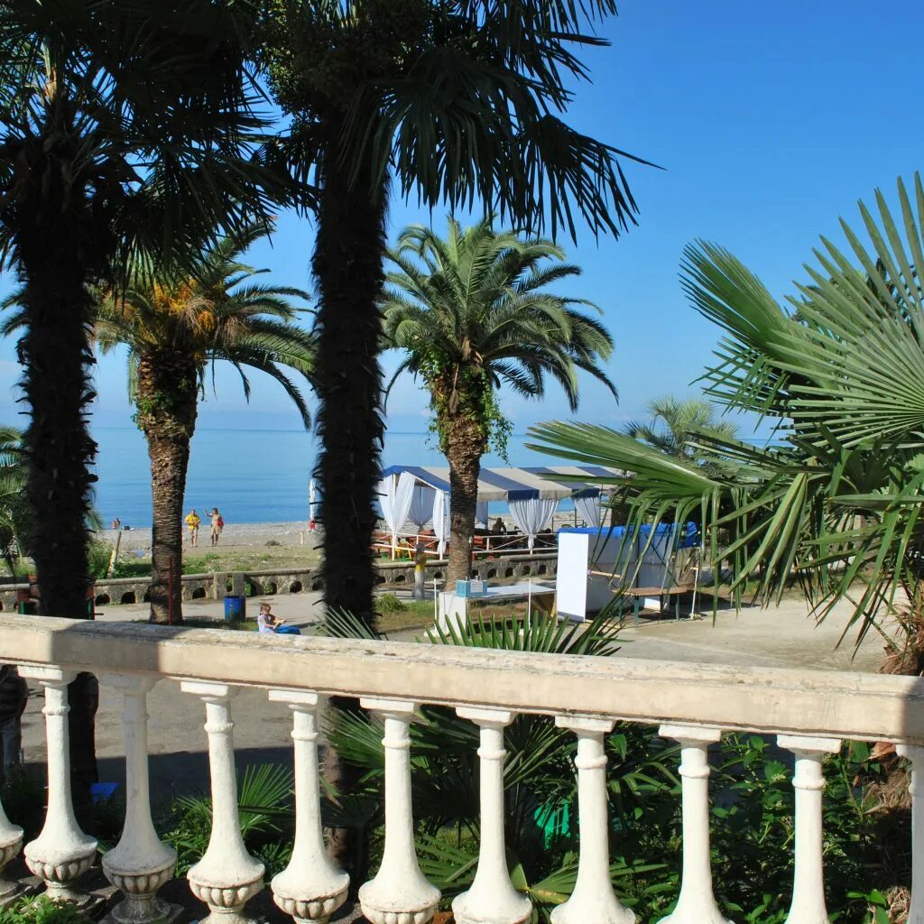 билет на абхазию самолет в абхазию. билеты в гагры. сочи гагра автобус. билет москва сухум. сочи гагра автобус.