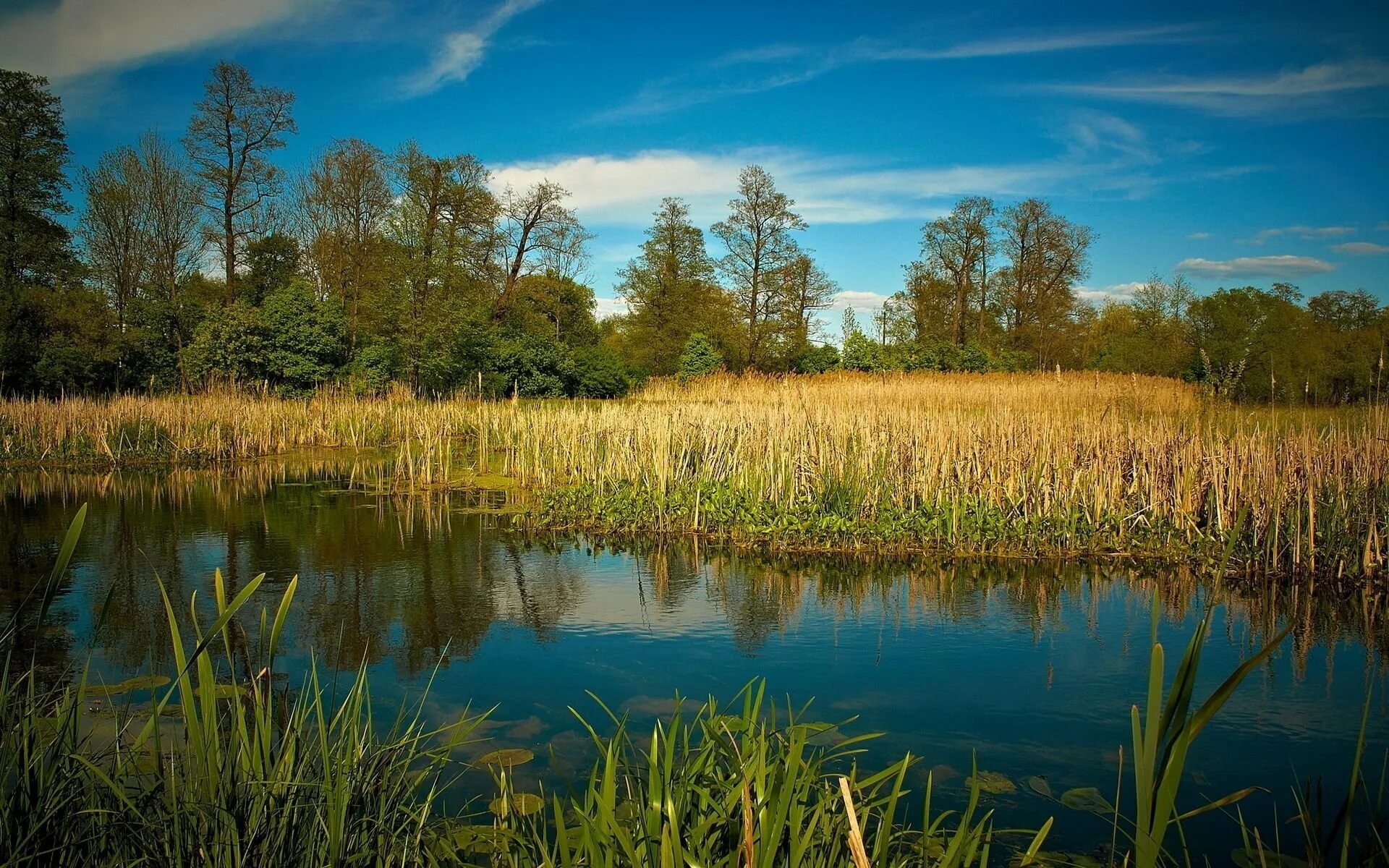 Берегите чистую воду. Красивый вид на реку. Пейзажи природы. Озеро и реки берегите. Озеро и реки берегите.