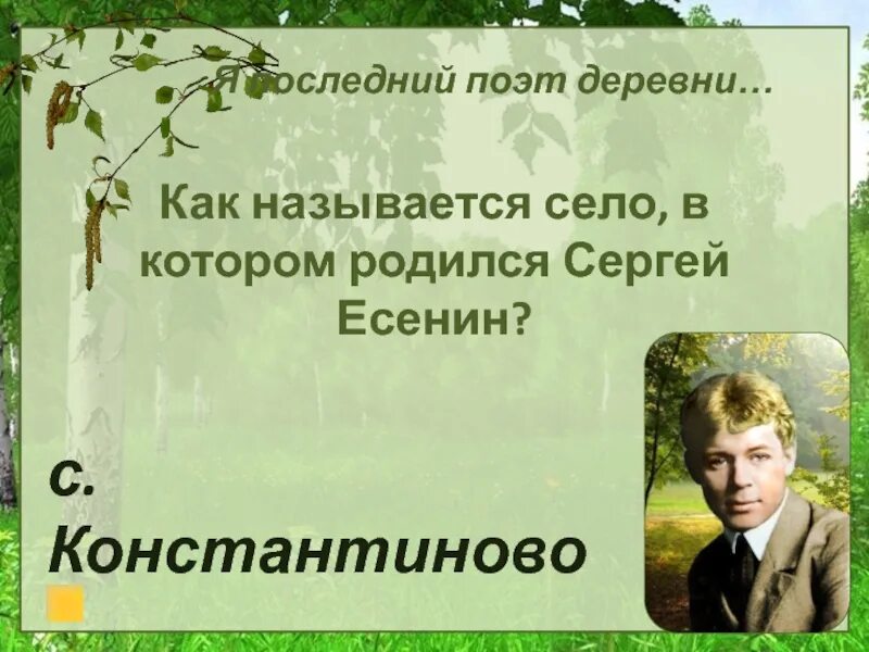 Стихи поэтов о деревне. Есенин я последний поэт деревни текст. Стихи Есенина я последний поэт деревни. Я последний поэт деревни Есенин анализ.