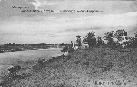 Константиноградского уезда
