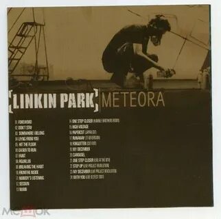 Linkin park erection