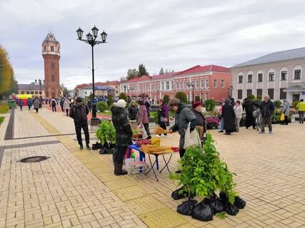 Старая русса день города