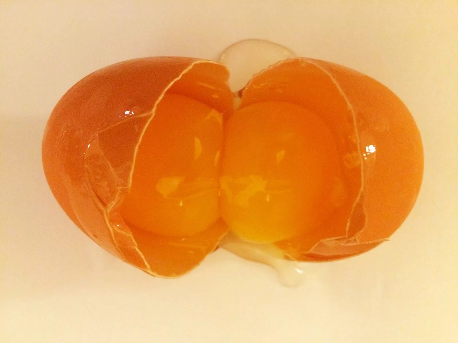 Желток прилагательное. Яйцо с 2 желтками. Двойное яйцо. Двойной желток в яйце. Еллоу яйцо.