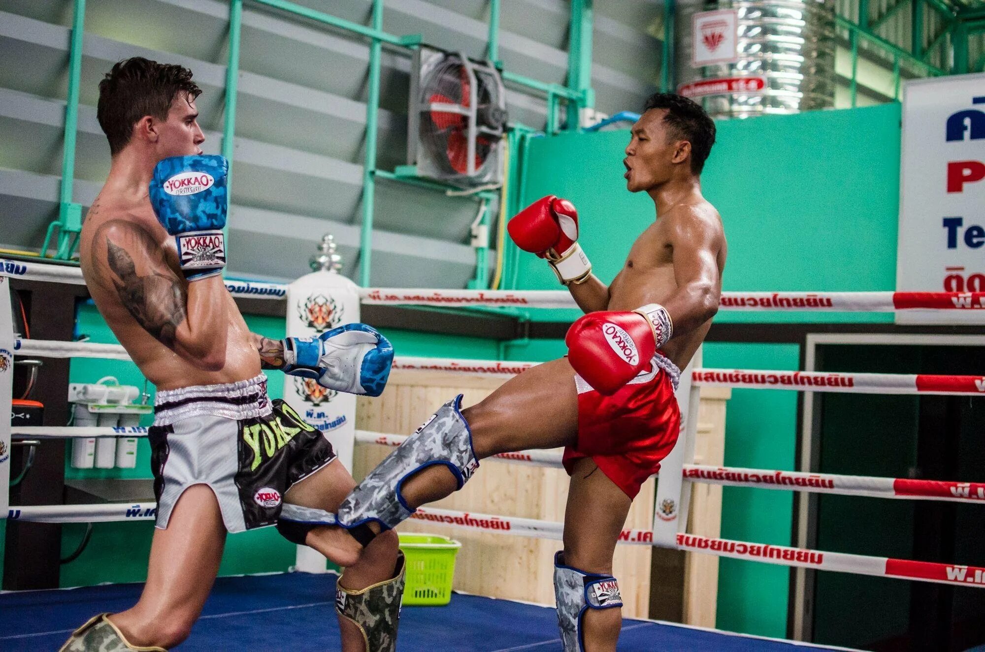 Тай кикбоксинг. Владислав сайк тайский бокс. muay thai shin. муай тай экипировка. муай тай боец в экипировке.
