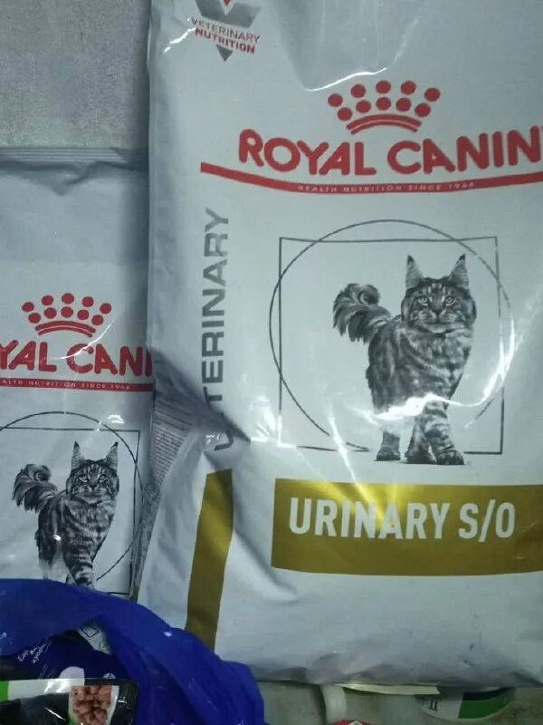 ранчо простоквашино белокуриха. новотырышкино база отдыха простоквашино. простоквашино новотырышкино алтайский край. белокуриха вилладж. белокуриха виладж.