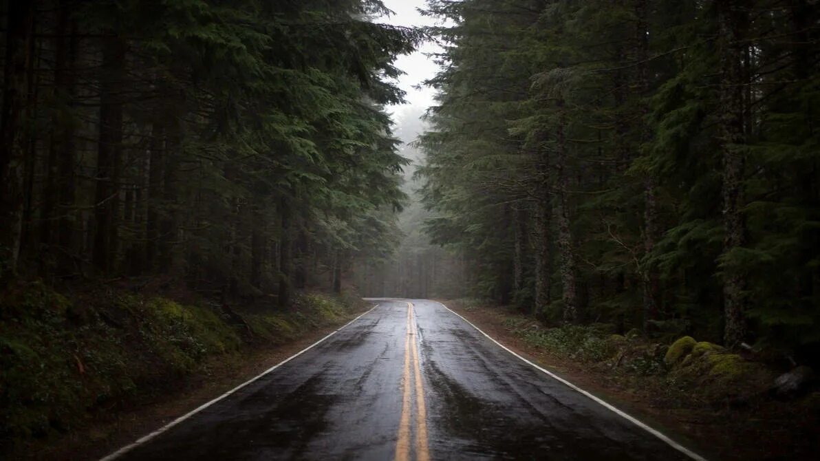 Find you road. Find you road