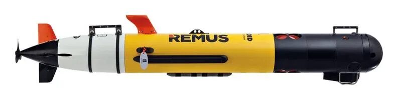 Remus 100. АНПА Remus-100. Автономный подводный аппарат Remus 100. Remus 100 AUV (remus100.m).