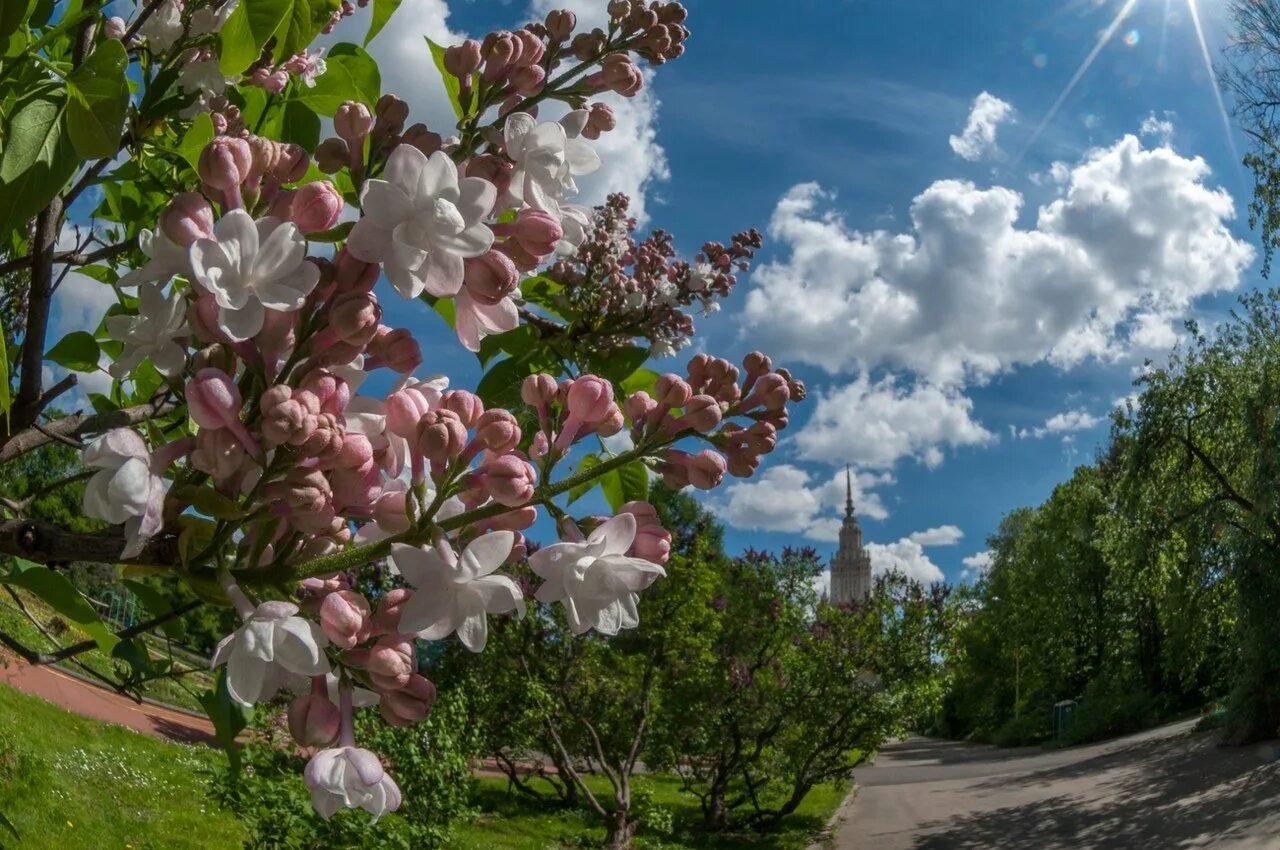 Весенний пейзаж. Природа весной. Май природа.