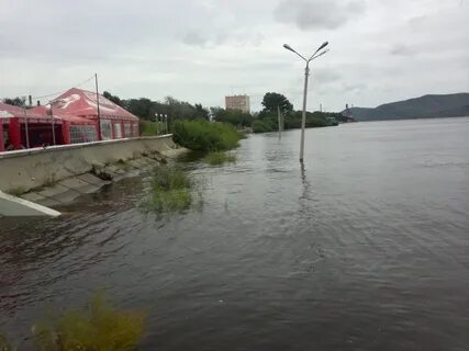 Паводок амура