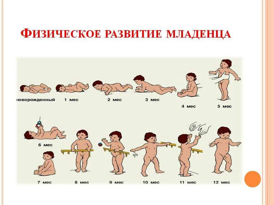 Ведение ребенка до года. Развитие ребенка от рождения до года по месяцам таблица. Нормы развития ребёнка по месяцам до 1 года таблица. Схема развития малыша по месяцам до года. Таблица развития новорожденных детей.