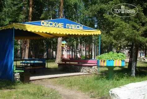 Алтайский плесы край санаторий