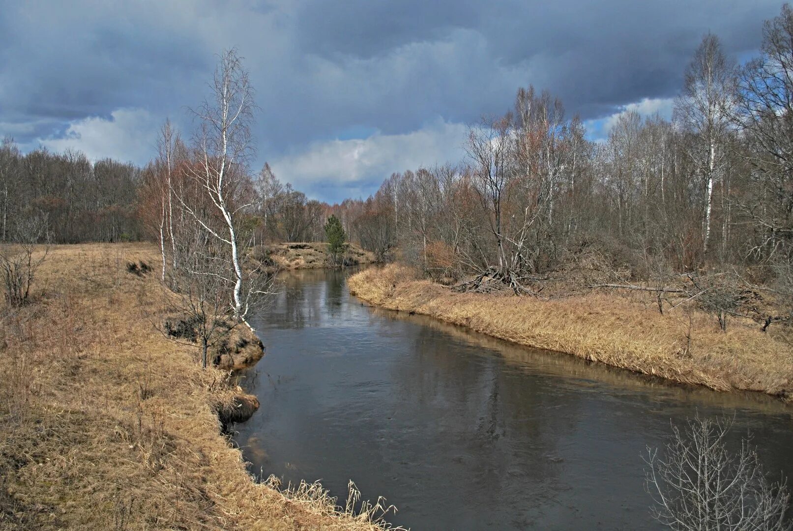 Исток реки Сережа. Река Добша Торопецкий район.