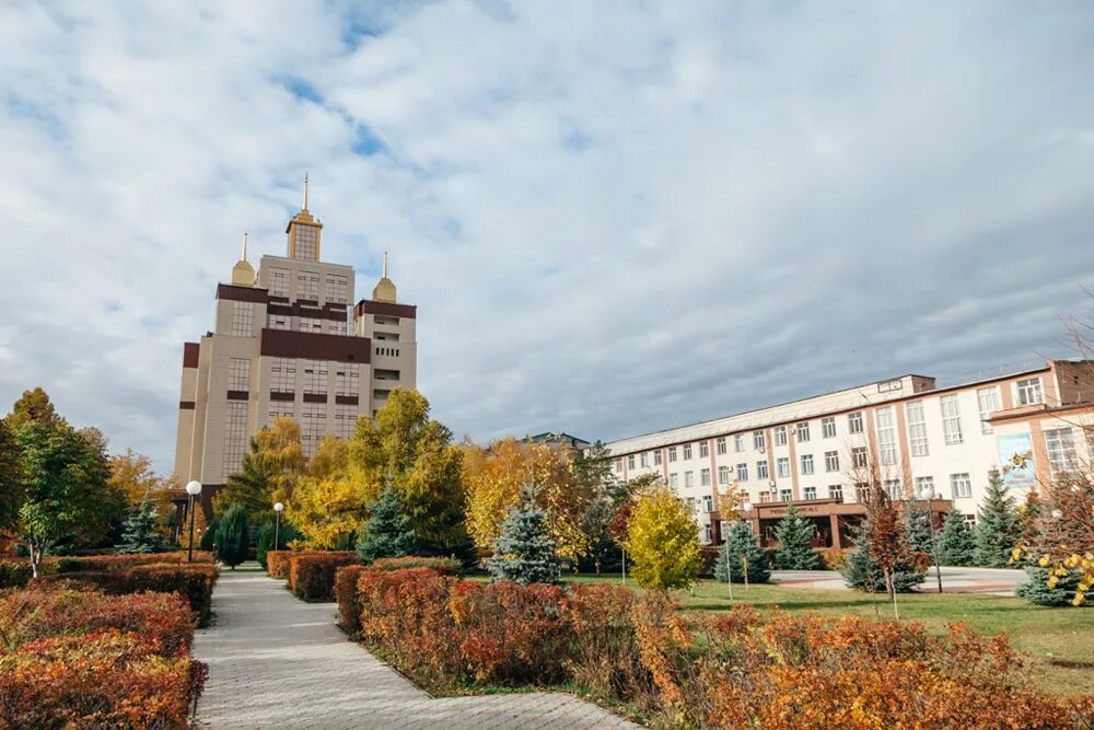 Институт ОГУ Оренбург. Политехнический университет Оренбург. Корпуса ОГУ В Оренбурге. ОГУ 20 корпус Оренбург. Государственные учреждения оренбург