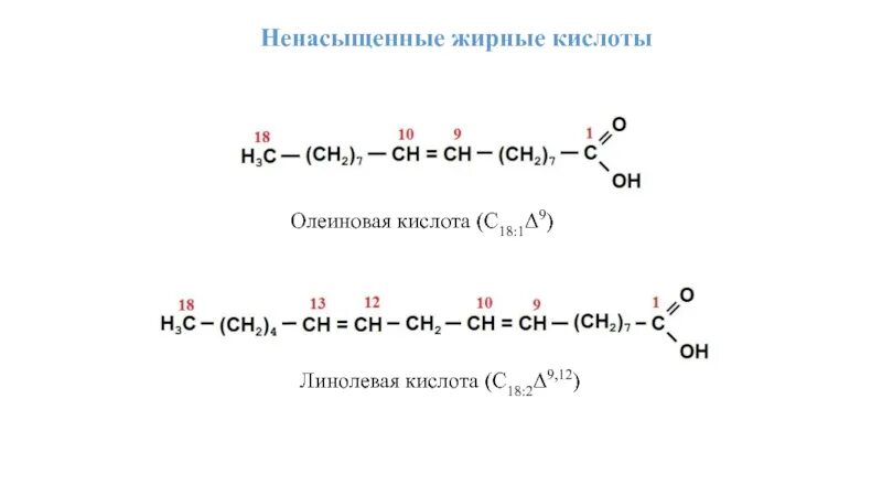 Олеиновая и стеариновая кислота формулы. Олеиновая кислота линолевая кислота. Олеиновая кислота 18. Ненасыщенные жирные кислоты.