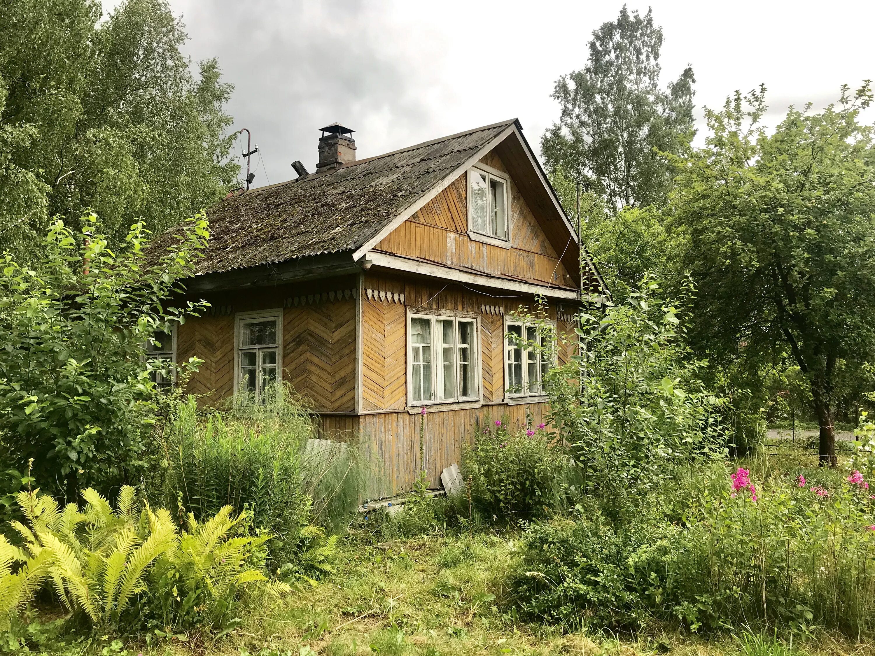 Ям-Ижора Ленинградская область. Ижора дачи. СНТ Ижора Тосненский. Дачи на берегу Ижоры. Купить участок ижора