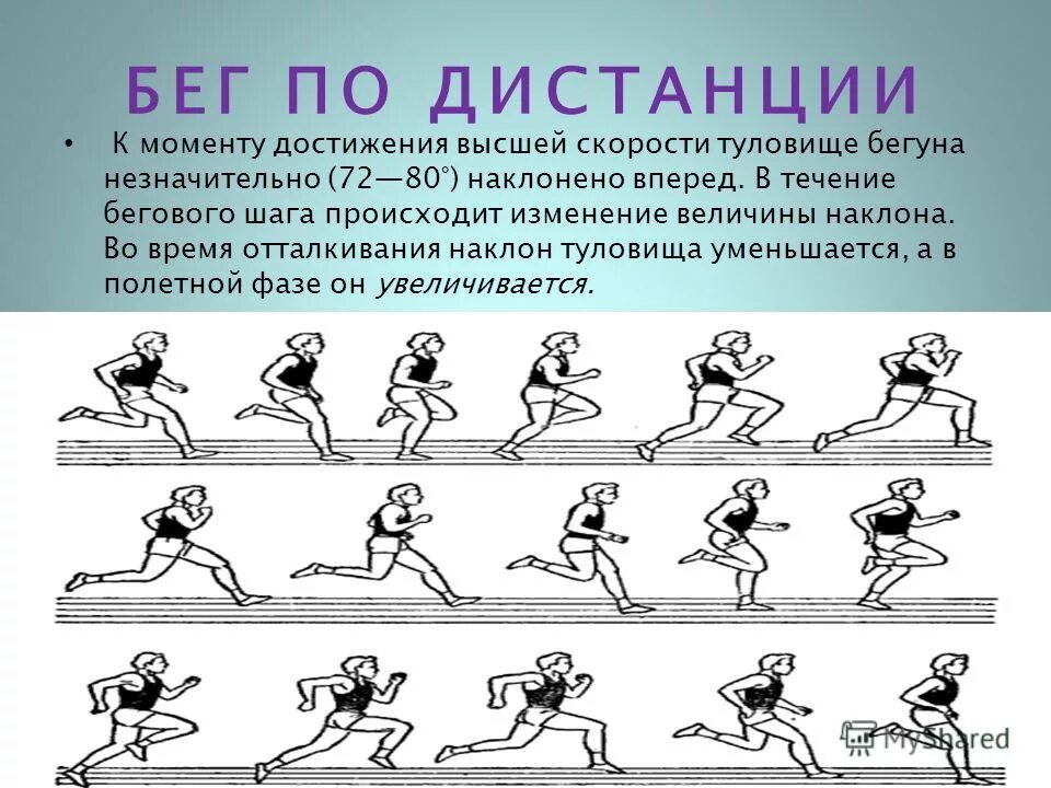 Назовите фазы бега на короткие дистанции. Назовите фазы бега на короткие дистанции