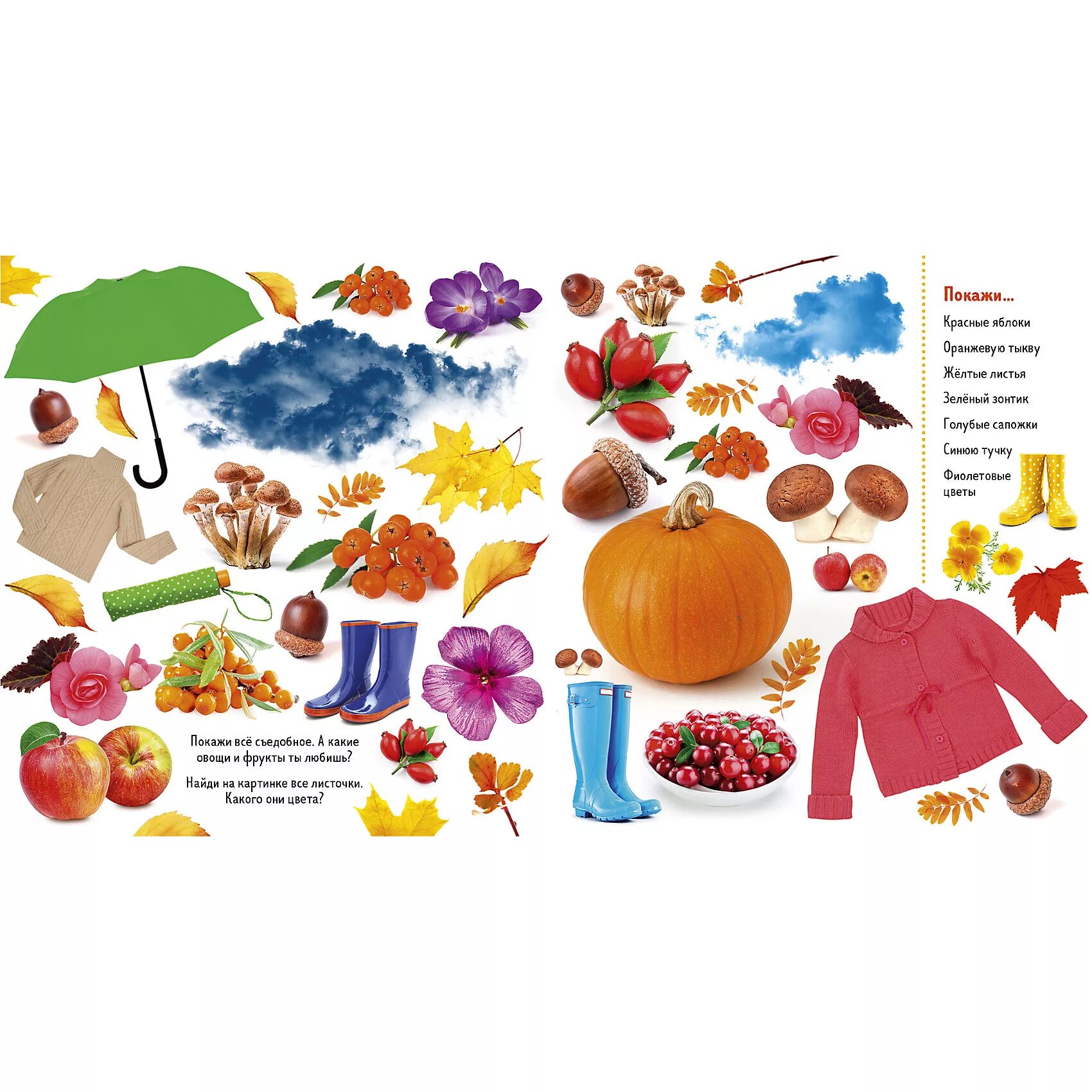 Найди и покажи отзывы. Найди и покажи книга для детей. Лаваль т. Найди и покажи отзывы. Найди и покажи клевер.