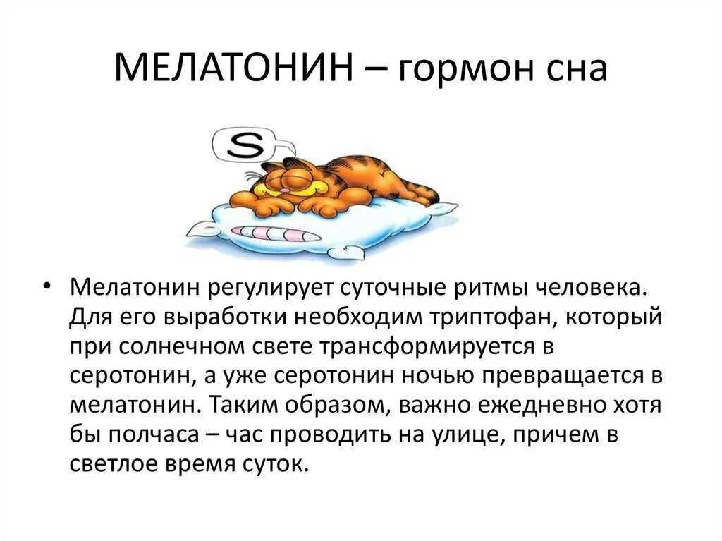 Мелатонин для чего. Гормон сна. мелатонин гормон. гормоны влияющие на сон. мелатонин гармония сна.