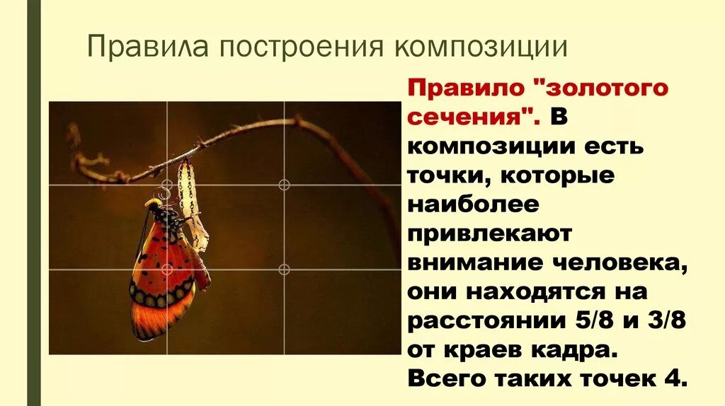 Правило 3 описание. Правила композиции. Золотое сечение в композиции. Правило золотого сечения в композиции. Правило построения композиции.