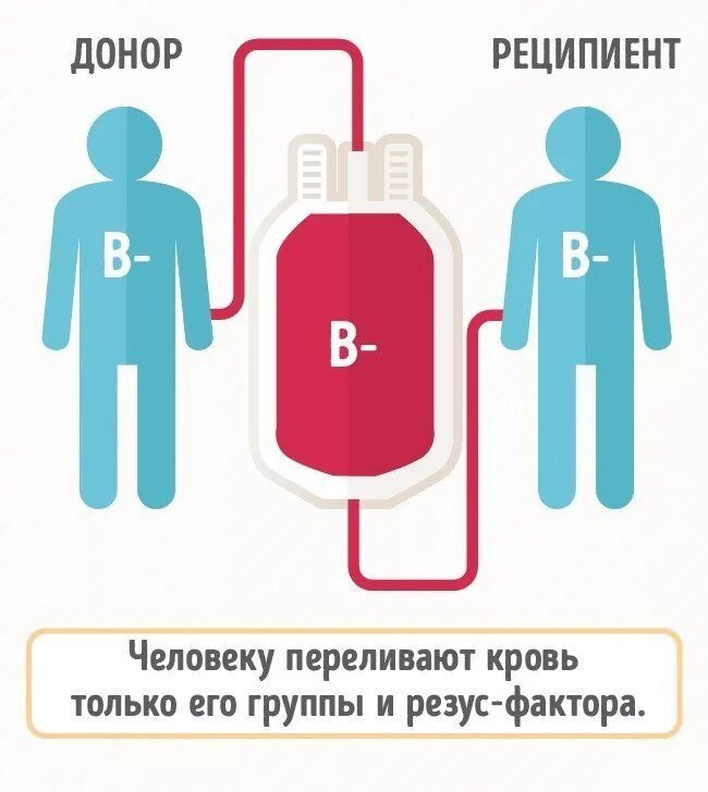 Донор и реципиент. Доноры и реципиенты крови. Переливание крови донор реципиент. Донор и реципиент группа. Универсальными донорами являются люди