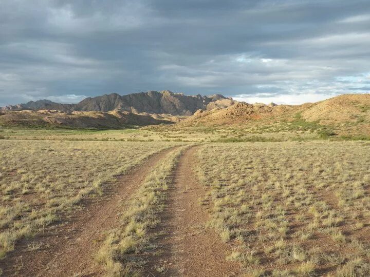Степи и полупустыни. Степь полупустыня пустыня. Полупустыня карру. Полупустыни казахстана. Полупустыня в патагонии.