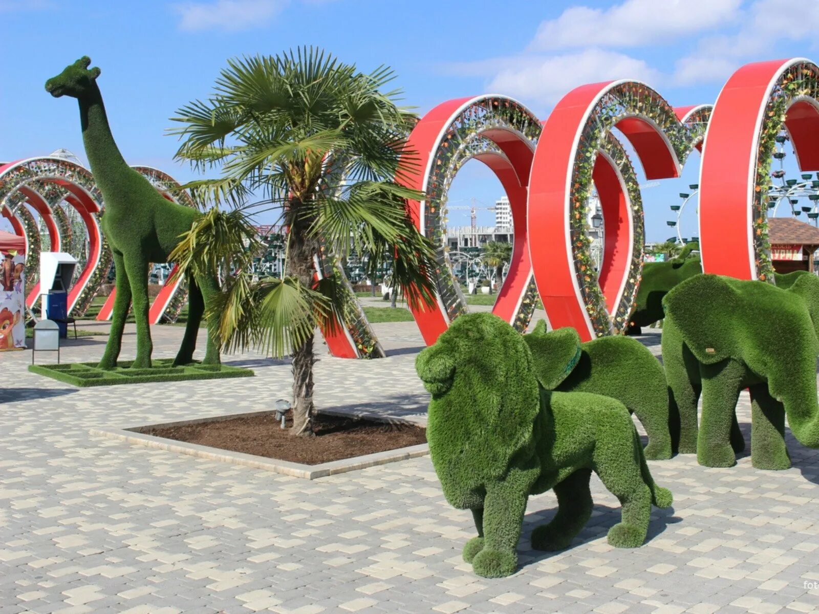 9 парк в грозном. Парк цветник в грозном. Парки в грозном. Цветочная аллея в грозном. Парки в грозном.