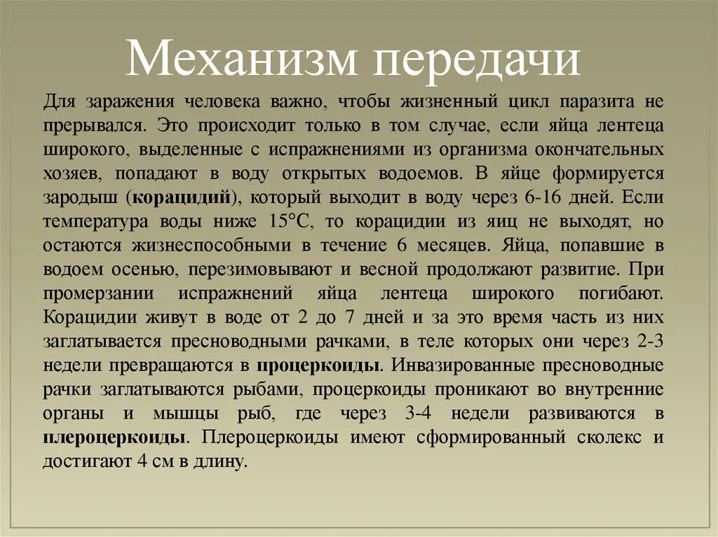 Путь заражения широкого лентеца. Широкий лентец жизненный цикл промежуточный хозяин. Дифиллоботриоз цикл развития. Широкий лентец среда обитания. Дифиллоботриоз цикл развития.