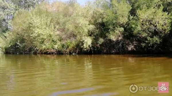 Лужки орск. Орлиный берег. Джанаталап оренбургская область. Лужки орск. Река кумачка.