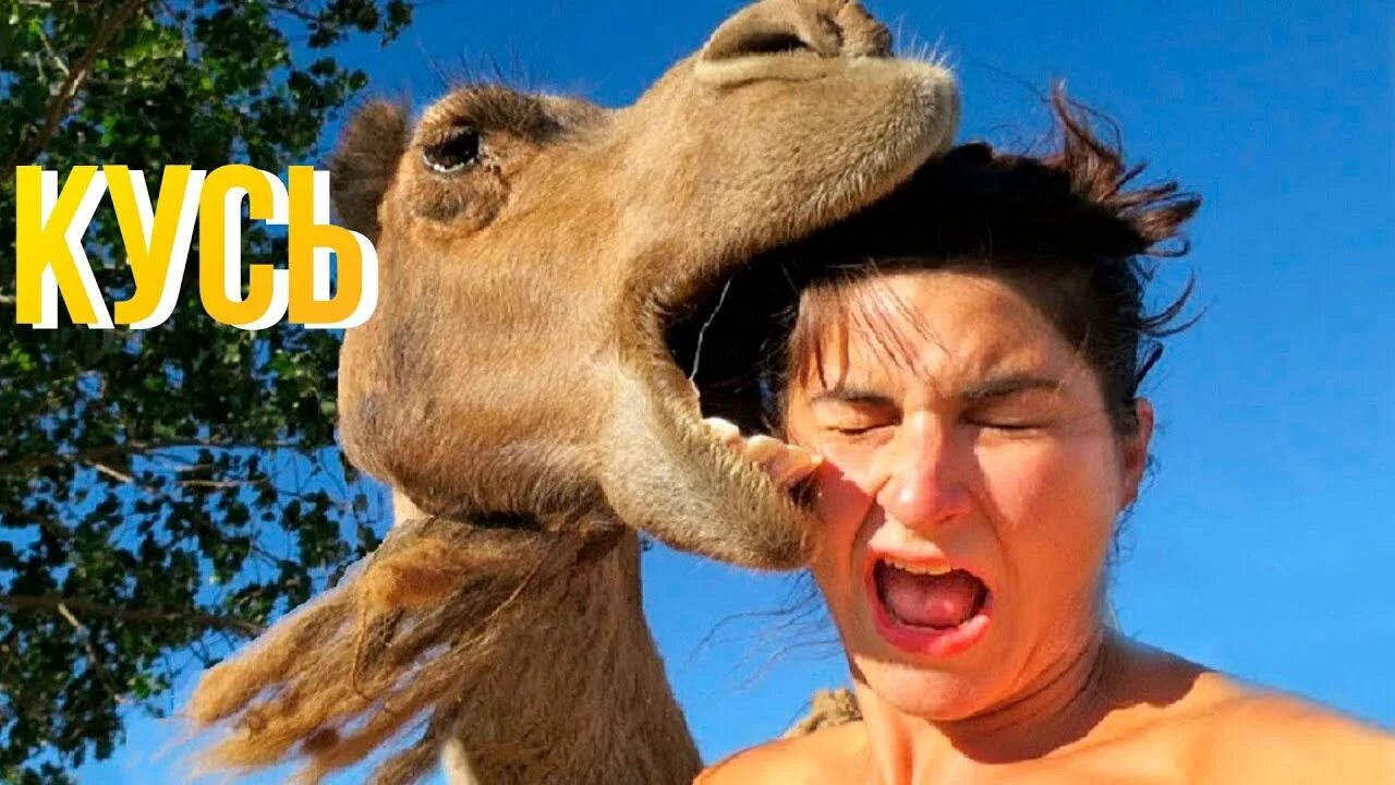 приколюха самая ржака до слёз. смеющееся лицо. приколы 2020 года смех до слёз. мальчик смеются до слез. девушка улыбается сквозь слезы.