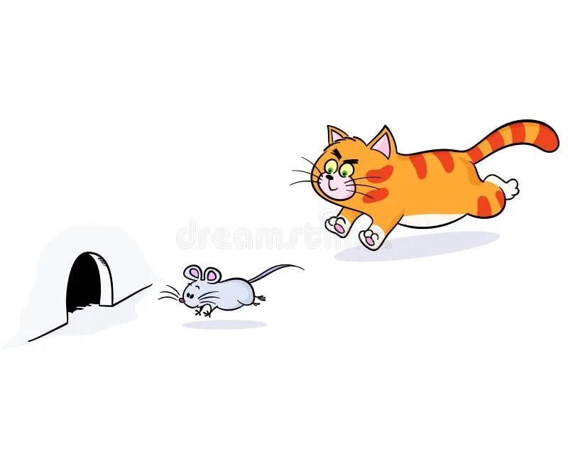 The cat was chasing the mouse