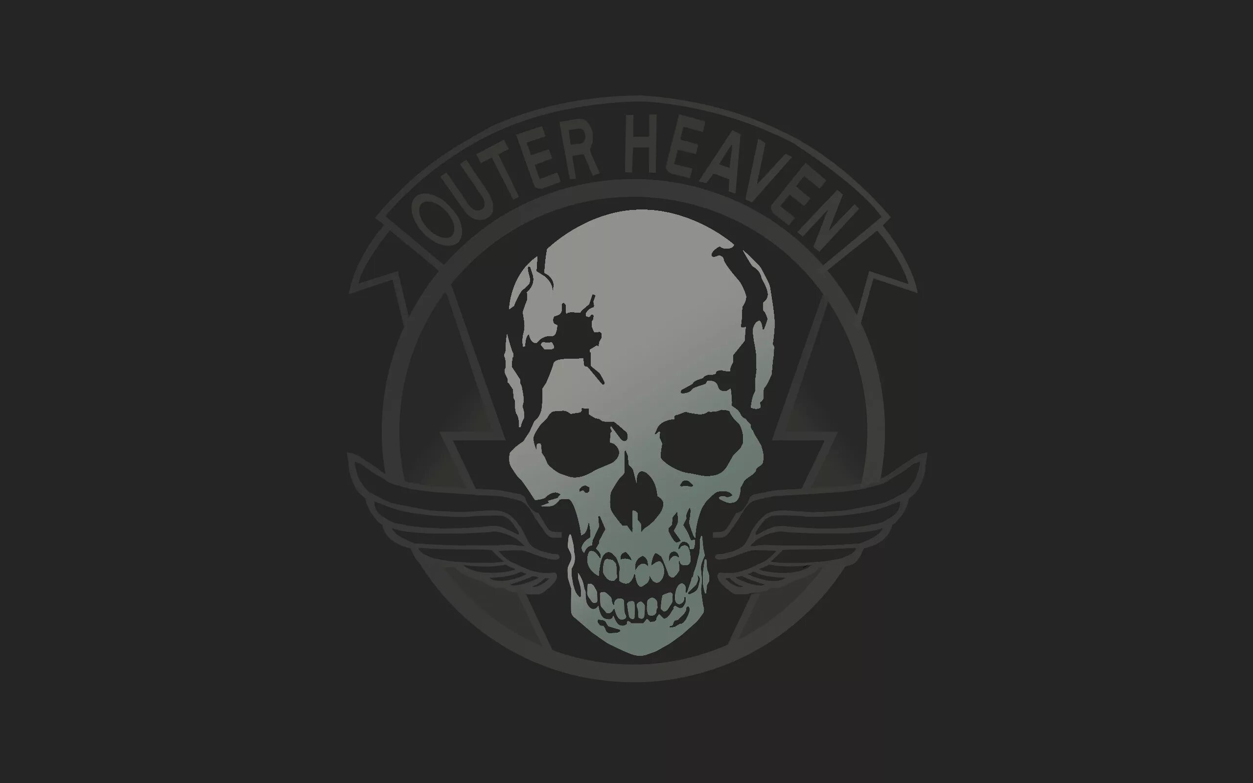 ЧВК Вагнер эмблема. Outer Heaven метал Гир. Wagner ЧВК лого. Metal Gear шевроны Outer Heaven.