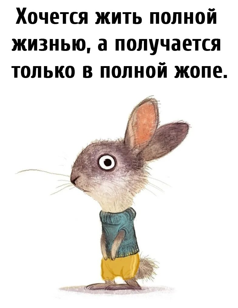 Шеф хочу в отпуск. Шеф хочу в отпуск с какого. Шеф хочу в отпуск с какого простите. Шеф хочу в отпуск с какого простите хрена. Привет извини что отвлекаю можешь проголосовать