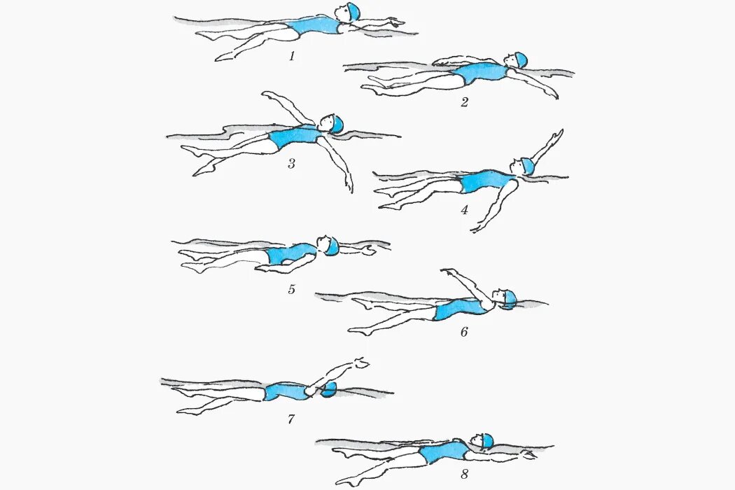 Методика плавания кролем. Кроль на спине техника плавания. Кроль техника плавания схема. Виды плавания Кроль на спине. Техника плавания стилем Кроль на спине.