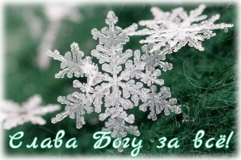 Либо снежинка