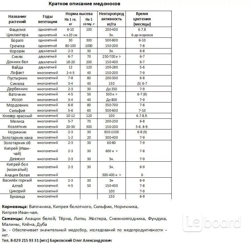 Норма высева фацелии на 1. Мордовник медонос норма высева. Норма высева фацелии на сотку. Урожайности фацелии на семена. Расход семян на сотку