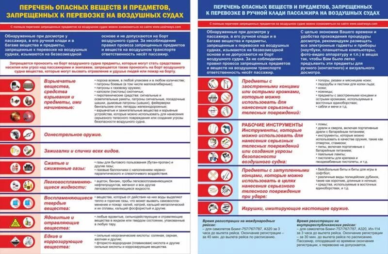 Можно перевозить продукты в самолете