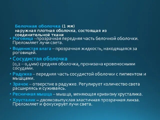 Рассмотрите белочную оболочку определите ее цвет. Белочная оболочка функции. Особенности строения белочной оболочки. Таблица структуры белочной оболочки. Белочная оболочка особенности значение.