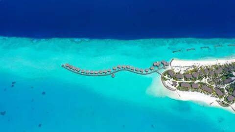 Barcelo whale lagoon maldives