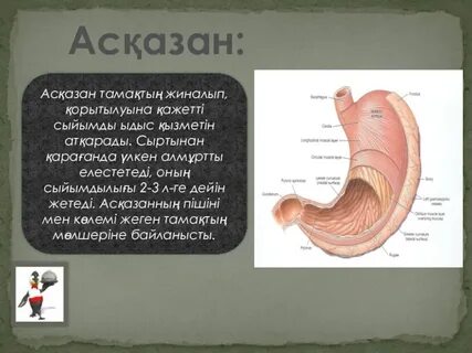 Жас орыстар