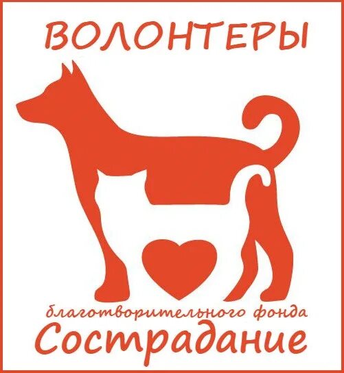 Фонд сострадание нижний новгород животные. Сострадание нн. Сострадание нн нижний новгород. Сострадание нижний новгород. Фонд сострадание нижний новгород.